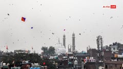 दिल्ली में 15 अगस्त पर पतंगबाजी का कहर, 800 से ज्यादा पक्षी घायल