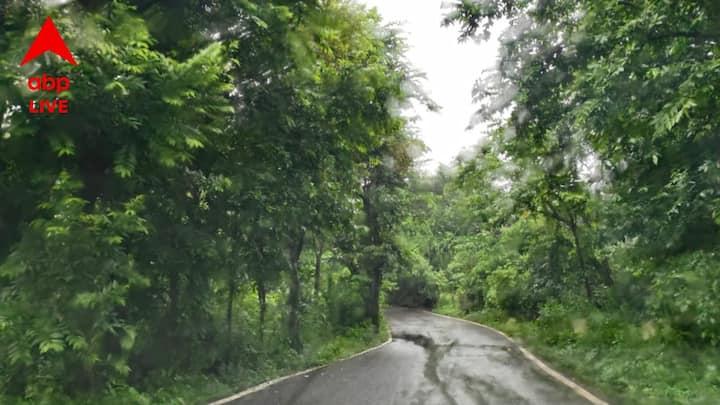 রাঁচি ইউনিভার্সিটির জিওলজির হেড অফ দ্য ডিপার্টমেন্ট জানিয়েছেন, কোনও জায়গায় ম্যাগনেটিক ফিল্ড যদি ভীষণ শক্তিশালী হয়, তাহলে ইলেকট্রনিক ডিভাইজ অস্বাভাবিক আচরণ করতে পারে, ভুল তারিখ ও সময় দেখাতে পারে। এটা এমন কিছু অস্বাভাবিক বিষয় নয়।