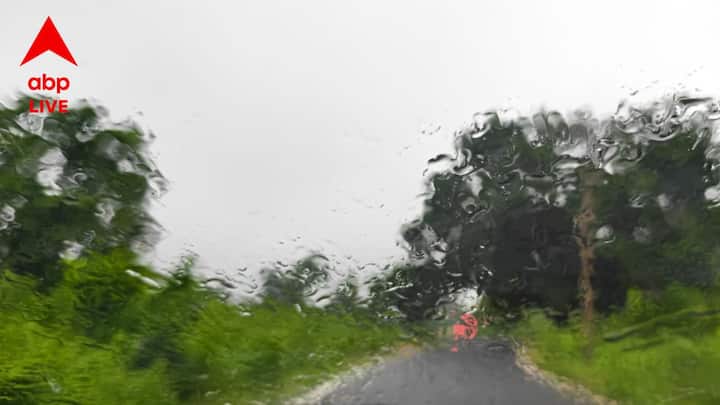 তৈমারা ভ্যালি নিয়ে ব্যাখ্যা দিতে গিয়ে, অনেক বিজ্ঞানীরা বলেছেন, এখানে ভীষণ শক্তিশালী একটি ম্যাগনেটিক ফিল্ড রয়েছে। সেই কারণেই ইলেকট্রনিক ডিভাইজগুলো অস্বাভাবিক আচরণ করে। তবে এই ঘটনার একেবারে সঠিক কারণ ব্যাখ্যা করা যায়নি।