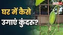 घर पर ही उगाएं दमदार कुंदरू, फॉलो करें ये प्रोसेस