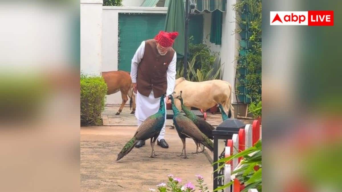 'दोस्तों को खिलाना मेरी दिनचर्या', मोर को दाना खिलाते दिखे PM मोदी