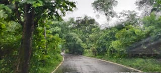 Mysterious Taimara Valley: হঠাৎ বদলে যায় মোবাইলের ডেট-টাইম, করা যায় না ফোন, মেসেজ! রহস্যে মোড়া রাঁচির অদূরের এই ভ্যালি