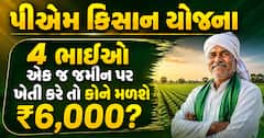 PM Kisan Yojana: 4 ભાઈઓ એક જ જમીન પર ખેતી કરે તો કોને મળશે ₹6,000? જાણો નિયમ
