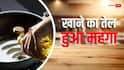 सरसों का तेल 220 रुपए के पार, मूंगफली-पाम ऑयल भी हुआ महंगा