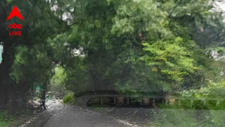 আঞ্চলিক মানুষদের কাছ থেকেই শোনা যায়, এই ভ্যালি দিয়ে যাতায়াতের সময় কাজ করে না কোনও মোবাইলের টাওয়ারই। সমস্ত কানেকশনের মোবাইলের টাওয়ারই কাজ করা বন্ধ করে দেয় এই এলাকায়।