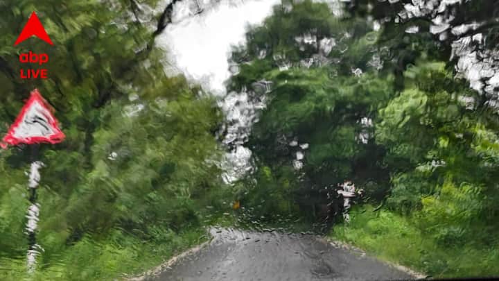 এখানেই শেষ নয়, অনেক সময় রাতে এই এলাকার স্ট্রিট লাইটগুলি দপদপ করে, একেবারে জ্বলতে চায় না কিছুতেই। অথচ সকালে আলো পরীক্ষা করে দেখা যায়, তাতে আদৌ কোনও সমস্যাই নেই। তাহলে কেন রাতে মাঝে মাঝে এভাবে আলোগুলি দপদপ করে, তার কোনও ব্যাখ্যা পাওয়া যায় না।