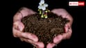 Best Soil for Crops: मिट्टी का रंग बताता है खासियत, जानें काली-लाल और पीली मिट्टी का फर्क