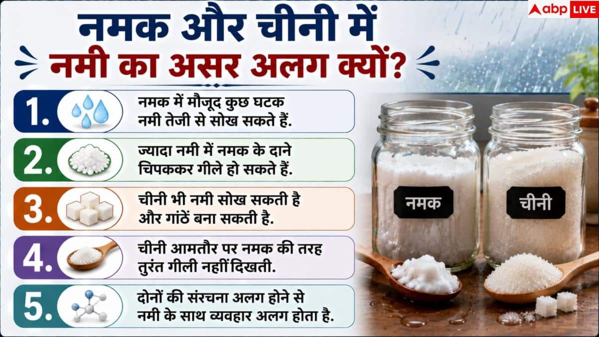 Why Salt Gets Wet In Monsoon: बरसात में नमक गीला हो जाता है, चीनी क्यों नहीं?