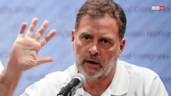 'प्रधान का इस्तीफा पहला कदम...', UGC-NET गड़बड़ी पर राहुल का बयान
