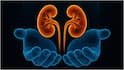 Kidney Health : కిడ్నీలను దెబ్బతీసే ఫుడ్స్ ఇవే.. మూత్రపిండాల సరిగ్గా పనిచేయాలంటే వీటిని తినడం తగ్గించండి