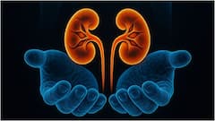 Kidney Health : కిడ్నీలను దెబ్బతీసే ఫుడ్స్ ఇవే.. మూత్రపిండాల సరిగ్గా పనిచేయాలంటే వీటిని తినడం తగ్గించండి