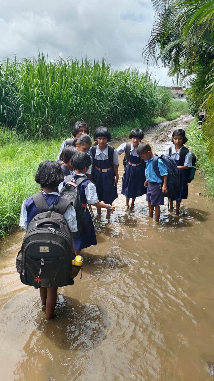 काॅकरोच जनता पार्टीच्या मोहिमेनंतर देशभरात शाळांची भीषण अवस्था समोर येत आहे.