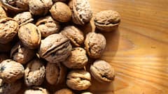 Growing Walnut in Pot at Home: अपने गमले में कैसे उगाएं कश्मीर जैसे अखरोट? ये रहा तरीका