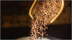 Flax Seeds Benefits : అవిసె గింజలు రోజూ తింటే శరీరంలో జరిగే మార్పులు ఇవే.. కొలెస్ట్రాల్ నుంచి షుగర్ వరకు