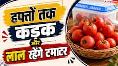 क्या आपके टमाटर भी सड़ जाते हैं जल्दी? जानें 15 दिन फ्रेश रखने की ट्रिक