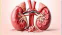 Kidney Health : కిడ్నీలను దెబ్బతీసే ఫుడ్స్ ఇవే.. మూత్రపిండాల సరిగ్గా పనిచేయాలంటే వీటిని తినడం తగ్గించండి