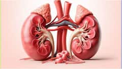 Kidney Health : కిడ్నీలను దెబ్బతీసే ఫుడ్స్ ఇవే.. మూత్రపిండాల సరిగ్గా పనిచేయాలంటే వీటిని తినడం తగ్గించండి