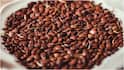 Flax Seeds Benefits : అవిసె గింజలు రోజూ తింటే శరీరంలో జరిగే మార్పులు ఇవే.. కొలెస్ట్రాల్ నుంచి షుగర్ వరకు