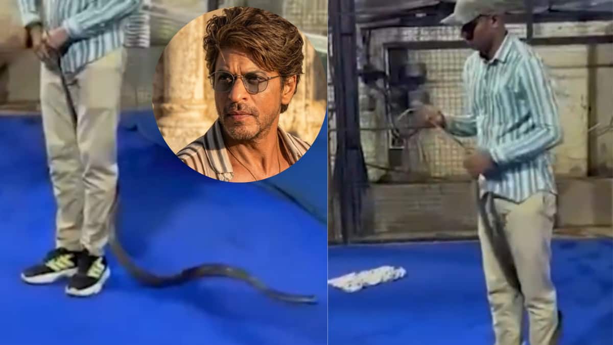 8-Foot-Long Snake Spotted At Shah Rukh Khan’s Mannat, Rescued Safely
