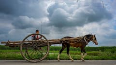 Weather Update: শক্তি বাড়িয়ে গভীর নিম্নচাপ, জমা জলের মাঝের আশঙ্কা বাড়িয়ে বজ্রবিদ্যুৎ-সহ প্রবল বর্ষণের পূর্বাভাস দক্ষিণবঙ্গে
