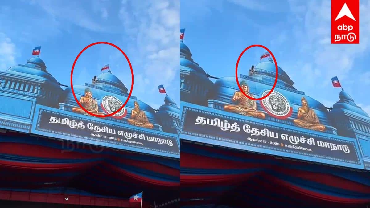"நானும் தலைவர் தான்!" - விசிக மாநாட்டு கூரையின் உச்சிக்கு சென்று போன் பேசியபடி தொண்டர்களுக்கு கை காட்டிய நபர்!