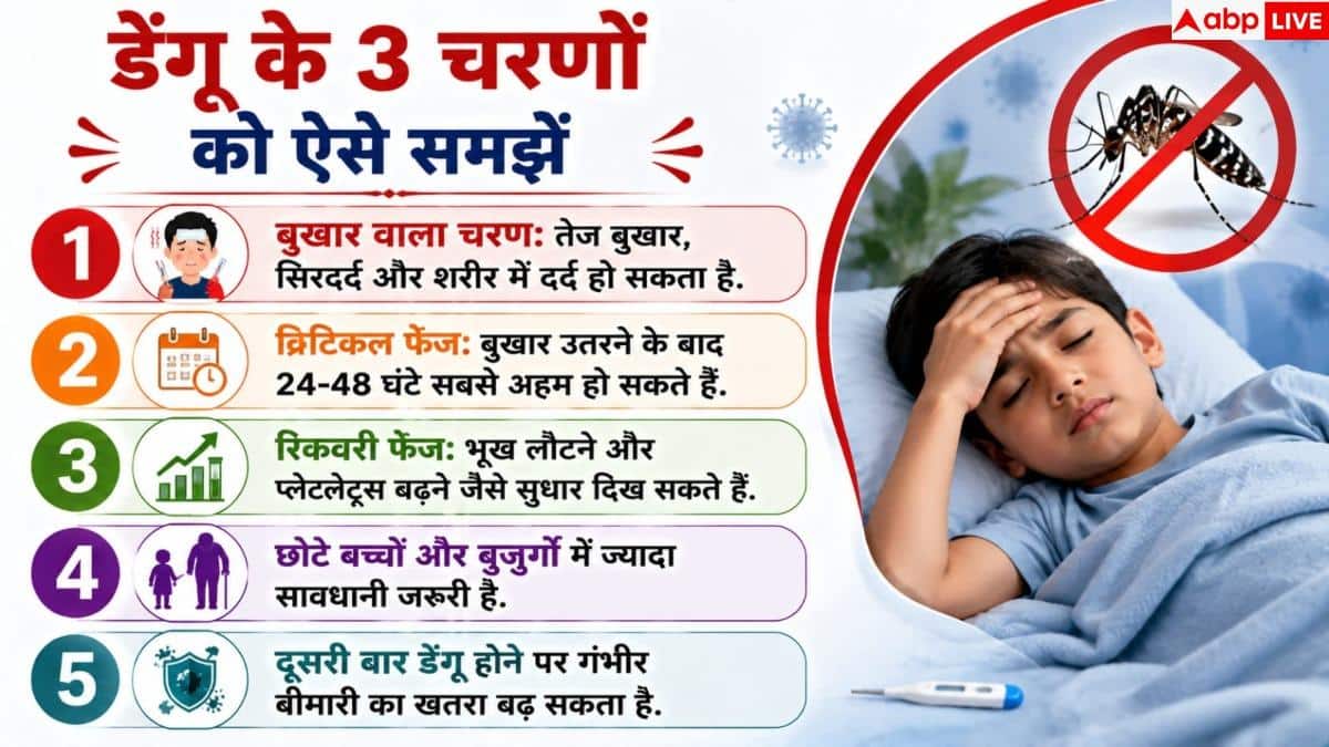 Dengue Fever: डेंगू का बुखार उतर गया तो न हों खुश! अगले 24-48 घंटे हैं अहम