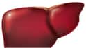Liver Disease : కాలేయం ఆరోగ్యం బాగోలేదని తెలిపే సంకేతాలివే.. ఇంట్లోనే ఇలా చెక్ చేసుకోండి, లక్షణాలు లైట్ తీసుకోకండి