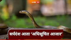 सर्पदंश आता ‘अधिसूचित आजार’ घोषित; साप चावल्यास लस, उपचार अन् मृत्यूची होणार नोंद