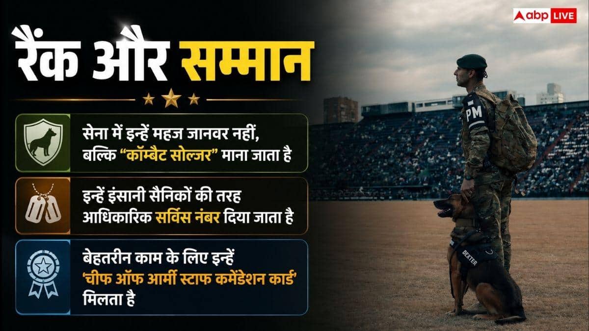 क्या मिलिट्री के डॉग को रिटायर होने के बाद मिलती है पेंशन, जानें क्या है नियम?