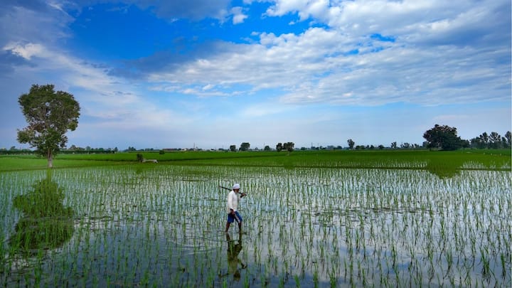 উত্তর-পশ্চিম বঙ্গোপসাগরের সুস্পষ্ট নিম্নচাপ শক্তি বাড়িয়ে গভীর নিম্নচাপে পরিণত হয়েছে।  এর প্রভাব উত্তর পশ্চিম বঙ্গোপসাগর এবং সংলগ্ন উত্তর ওড়িশা ও গাঙ্গেয় পশ্চিমবঙ্গ উপকূলের উপর রয়েছে।