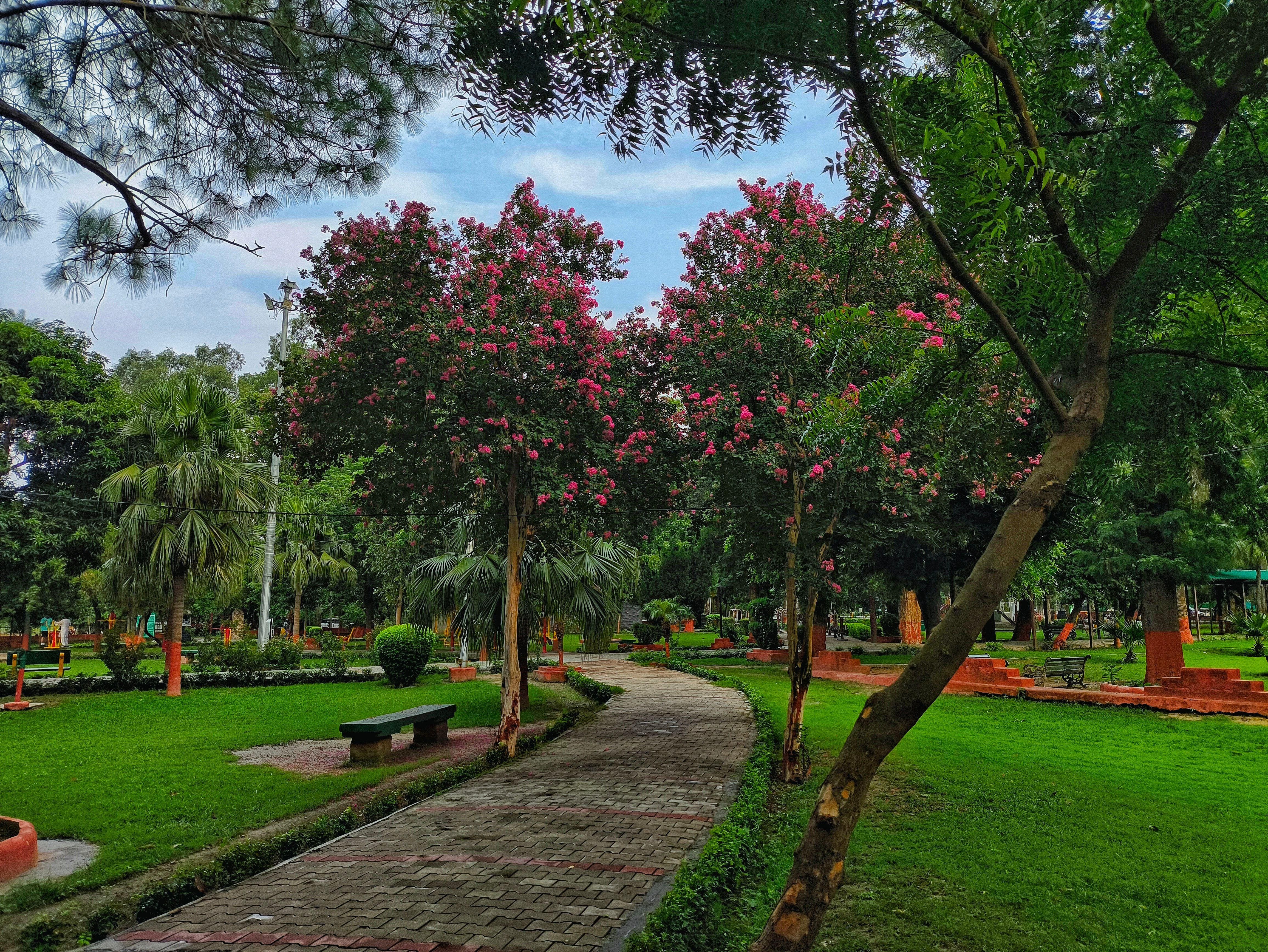 Amrit Udyan 2026: Visit Till September 15, Know Timings, Free Ticket And Entry Details