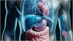 Liver Disease : కాలేయం ఆరోగ్యం బాగోలేదని తెలిపే సంకేతాలివే.. ఇంట్లోనే ఇలా చెక్ చేసుకోండి, లక్షణాలు లైట్ తీసుకోకండి