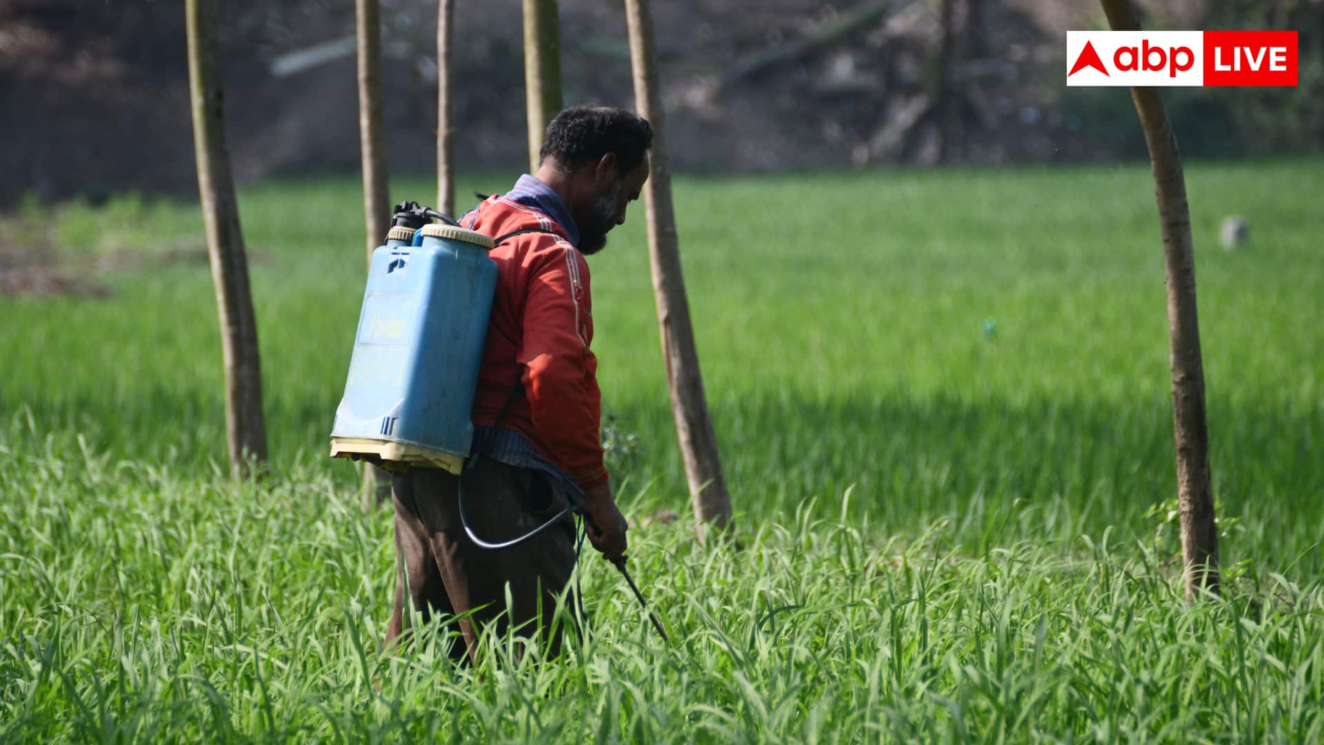 Pesticide Poisoning First Aid: छिड़काव करते वक्त किसान के मुंह में चला गया जहरीला घोल? तुरंत करें ये काम