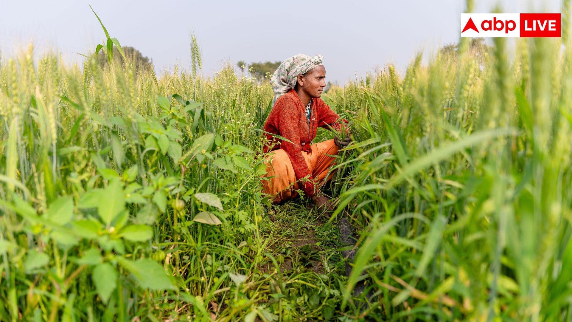 Krishi Helpline Number: खाद नहीं मिल रही, इस नंबर पर कॉल करें यूपी के किसान