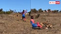 Spider-Man Chased by Dogs: Spider Man की ड्रेस में पहुंचा शख्स, पीछे पड़ गए कुत्ते; वीडियो वायरल