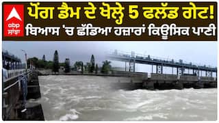 Pong Dam Gates Opened | ਪੋਂਗ ਡੈਮ ਦੇ ਖੋਲ੍ਹੇ 5 ਫਲੱਡ ਗੇਟ! ਬਿਆਸ 'ਚ ਛੱਡਿਆ ਹਜ਼ਾਰਾਂ ਕਿਊਸਿਕ ਪਾਣੀ