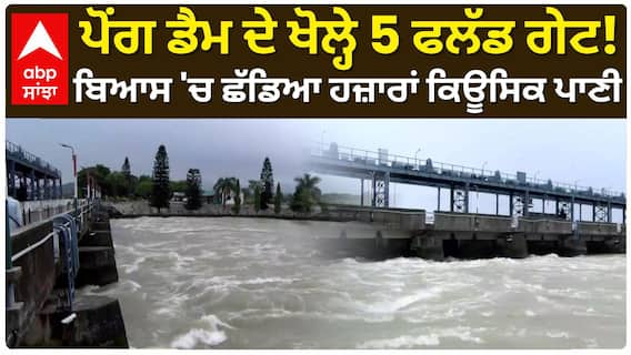 Pong Dam Gates Opened | ਪੋਂਗ ਡੈਮ ਦੇ ਖੋਲ੍ਹੇ 5 ਫਲੱਡ ਗੇਟ! ਬਿਆਸ 'ਚ ਛੱਡਿਆ ਹਜ਼ਾਰਾਂ ਕਿਊਸਿਕ ਪਾਣੀ