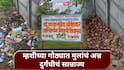Dharashiv School : म्हशीच्या गोठ्यात मुलांचं अन्न अन् दुर्गंधीचं साम्राज्य; धाराशिवमधील दिव्यांग निवासी शाळेचे विदारक वास्तव उघड