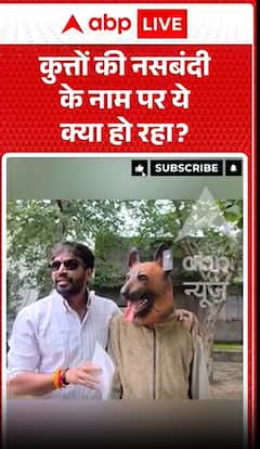 What is going on in the name of dog sterilization?