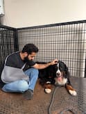 NTR Pet Bagheera: దుఃఖంలో ఎన్టీఆర్ కుటుంబం... వాళ్ళను విడిచి తిరిగి రాని లోకాలకు వెళ్ళిన 'భగీర'