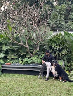 NTR Pet Bagheera: దుఃఖంలో ఎన్టీఆర్ కుటుంబం... వాళ్ళను విడిచి తిరిగి రాని లోకాలకు వెళ్ళిన 'భగీర'