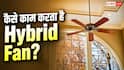 क्या है हाइब्रिड सीलिंग फैन? जानें किस टेक्नोलॉजी पर करता है काम