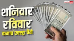 Business Ideas: वीकेंड पर शुरू करें ये बिजनेस, होगी अच्छी एक्स्ट्रा कमाई
