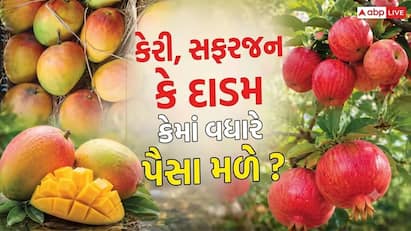 બાગાયતથી ખેડૂતો સારો નફો કમાઈ રહ્યા છે. જેમાં સફરજન, કેરી અને દાડમની ખેતી સૌથી આગળ છે. જાણો કે કયું ફળ તમને સૌથી ઝડપથી કરોડપતિ બનાવી શકે છે?