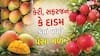 સફરજન, કેરી કે દાડમ, જાણો કયા ફળની ખેતી કરવાથી તમે બની જશો માલામાલ?