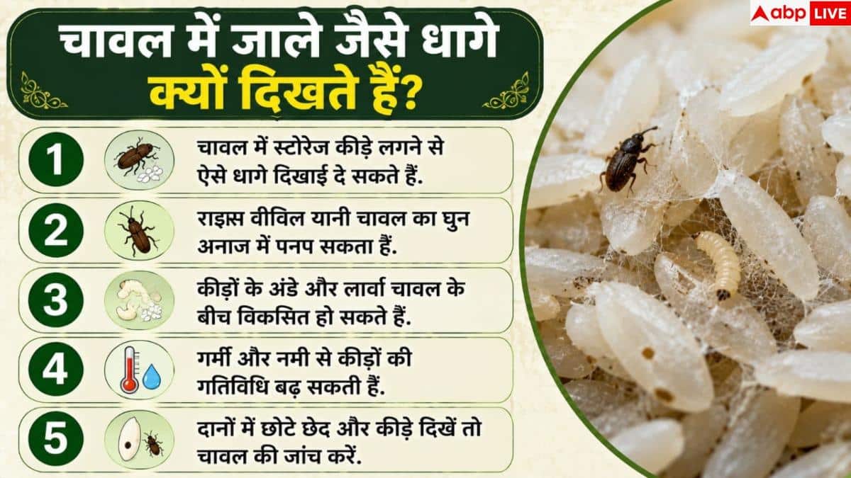 How To Remove Rice Insects: चावल में दिखने लगे हैं जाले जैसे धागे? 1 आसान हैक से करें साफ