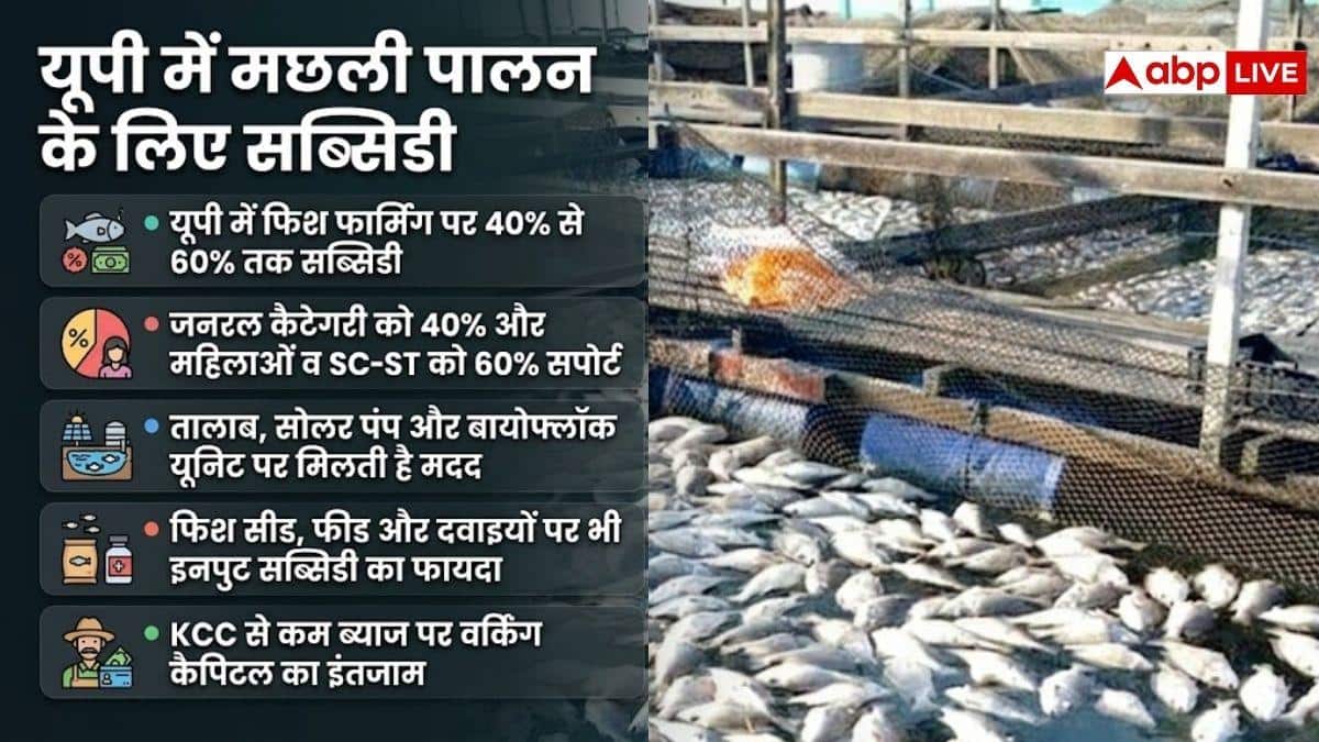 मछली पालन से कमाई बढ़ाएं, सरकार भी दे रही मदद