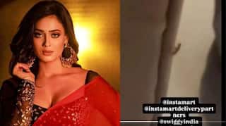 Shweta Tiwari ਦੇ ਆਨਲਾਈਨ ਆਰਡਰ 'ਚੋਂ ਨਿਕਲੀ ਅਜਿਹੀ ਚੀਜ਼ , ਅਦਾਕਾਰਾ ਦੇ ਉੱਡੇ ਹੋਸ਼ 