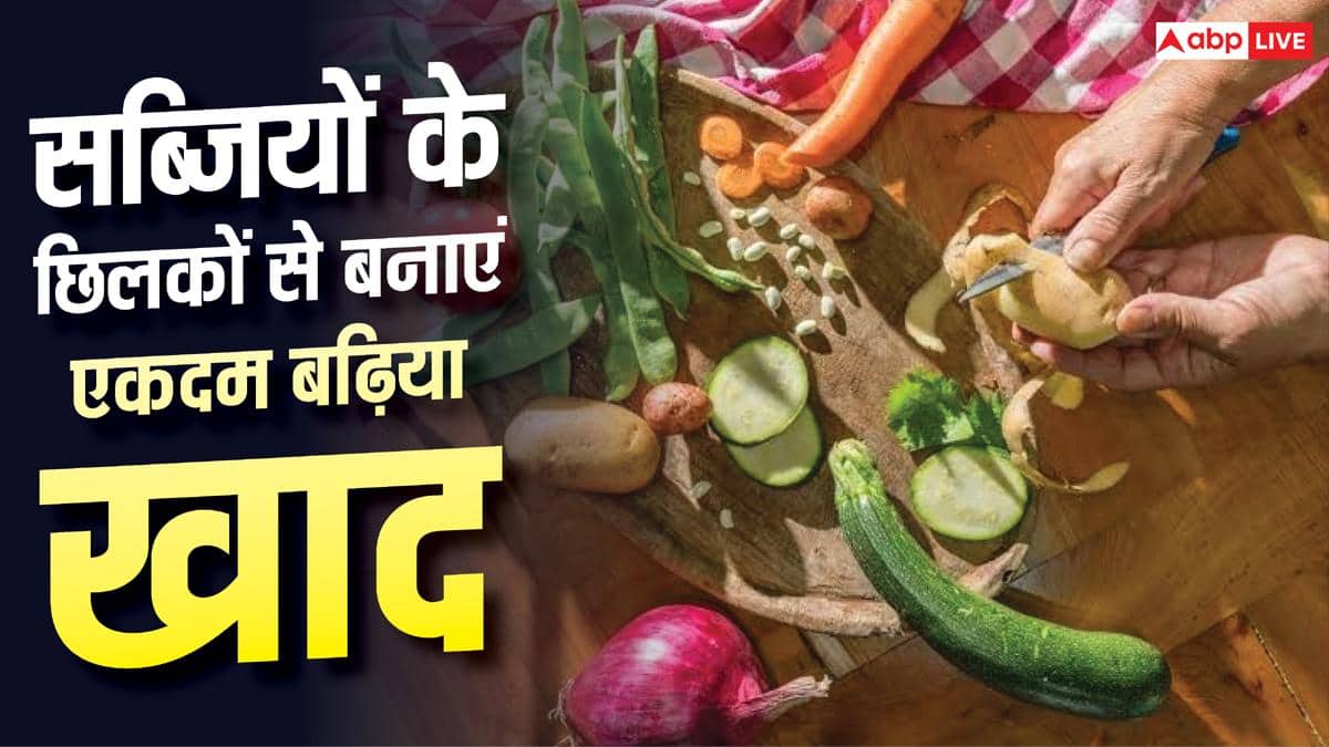 सब्जियों के छिलके फेंके नहीं, ऐसे बनाएं ऑर्गेनिक खाद