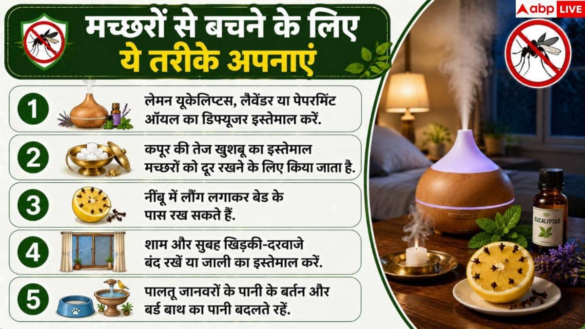 How To Prevent Mosquitoes At Night: मच्छरों ने उड़ा रखी है नींद? बिना कॉइल 2 मिनट में ऐसे भगाएं बाहर